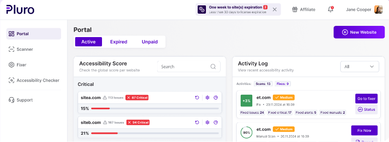 a screenshot of the Pluro accessibility portal